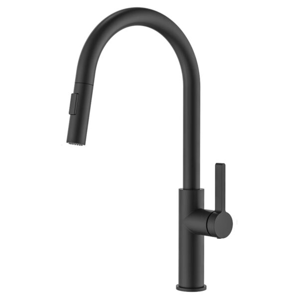 Berlin Pro Mixer With Pull Down - Matt Black